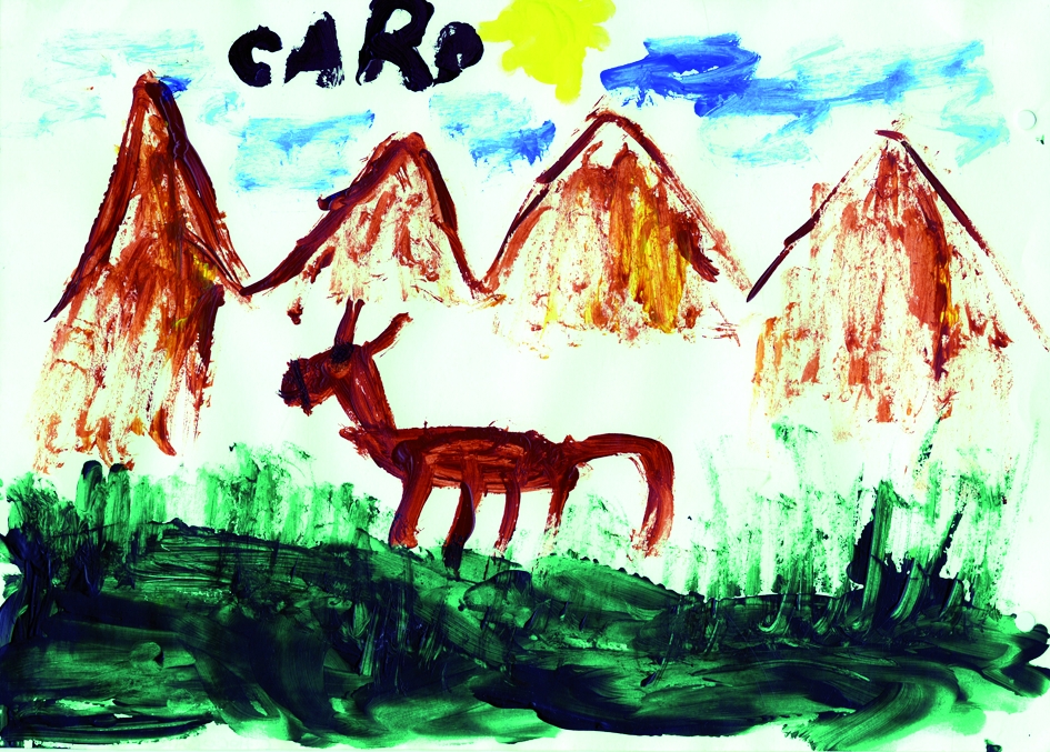 animaux043AmArgAmaiCarolinaSanchezChocobar7Cheval2