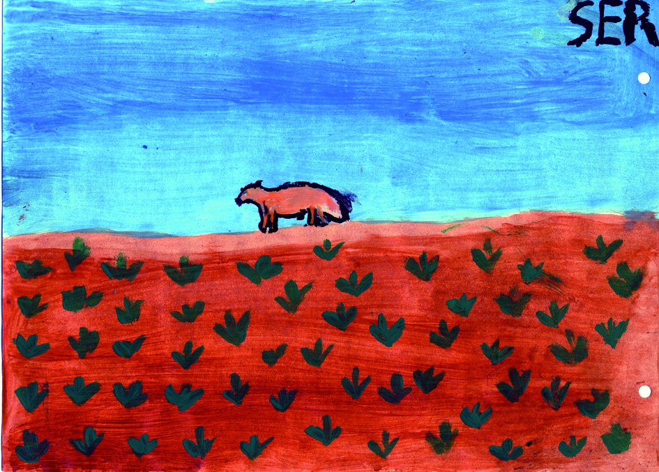 animaux048AmArgAmaiSerenaBellido10Renard