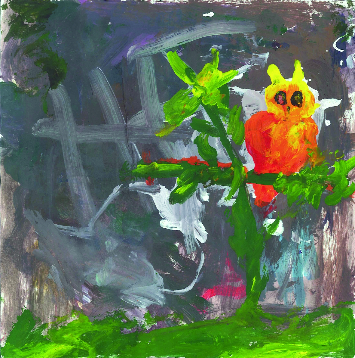 animaux082AmEcKiAnonymeChouettePt