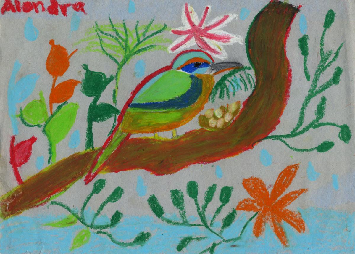 migrations077 AmVenCalAlondra9OiseauPeCt